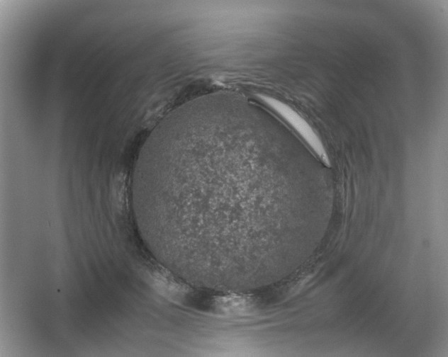 X0000067460511200604101136