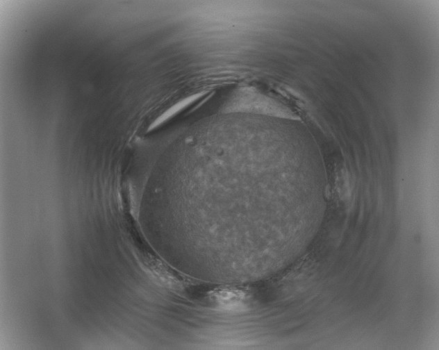 X0000067460512200604101136