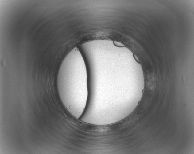 X0000067460514200604101136