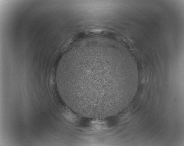 X0000067460515200604101136