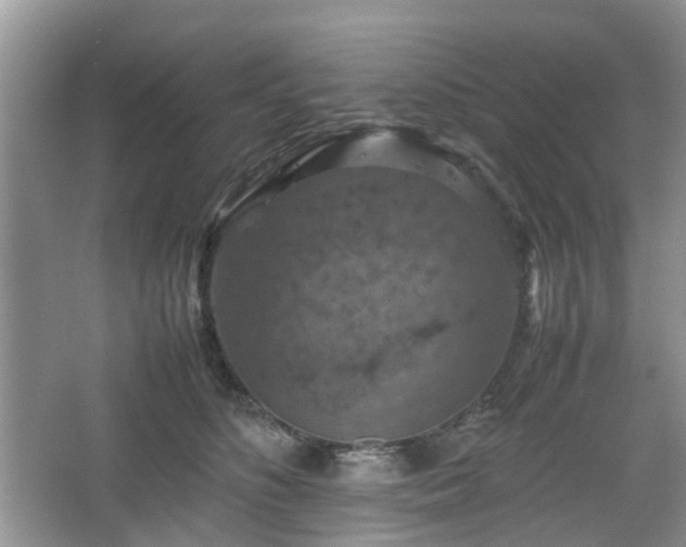 X0000067460516200604101136