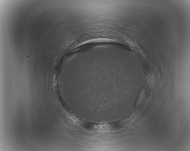 X0000067460517200604101136