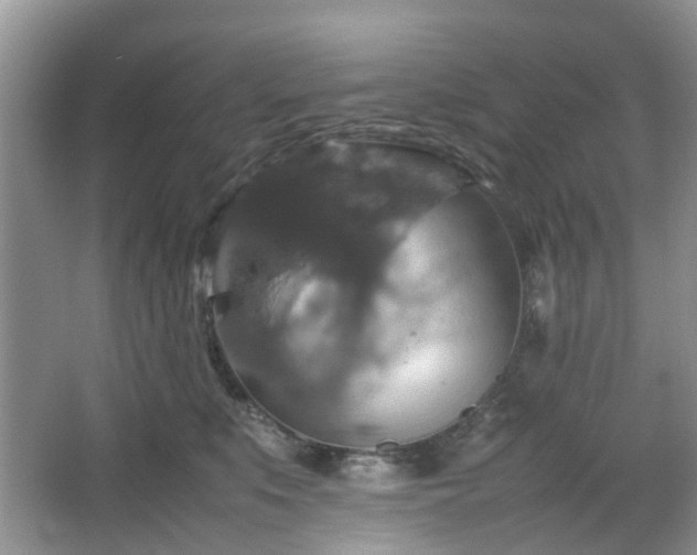 X0000067460519200604101136