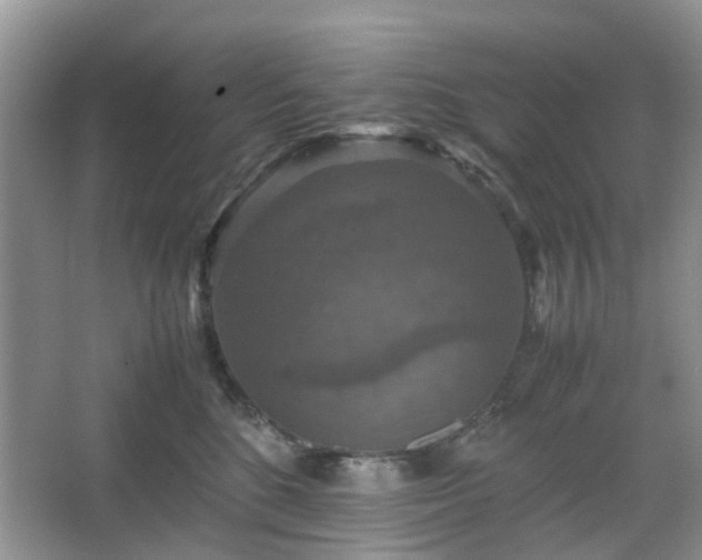 X0000067460520200604101136