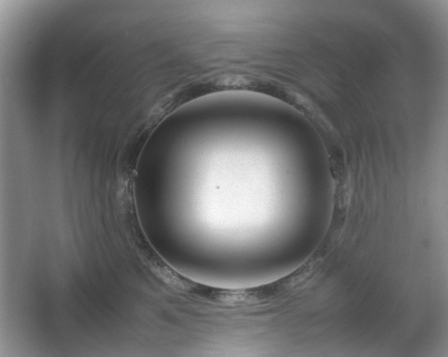 X0000067460521200604101136