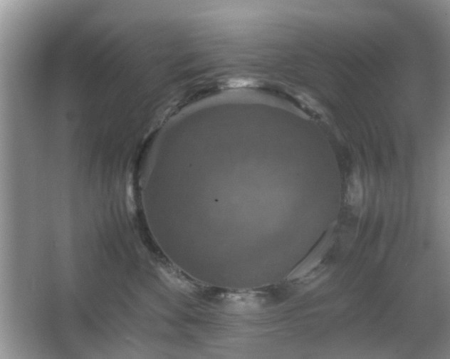 X0000067460524200604101136