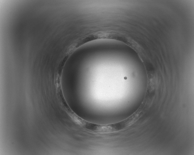 X0000067460525200604101136