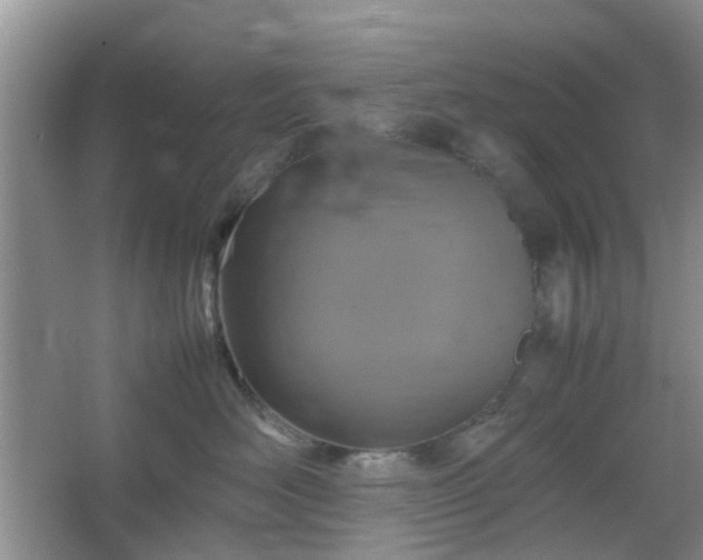 X0000067460526200604101136