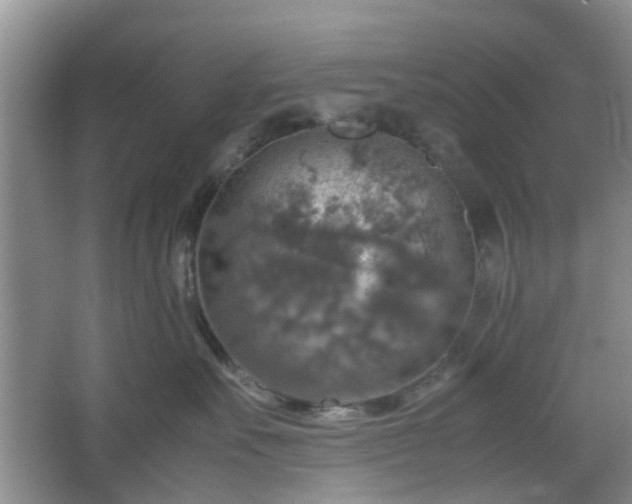 X0000067460527200604101136