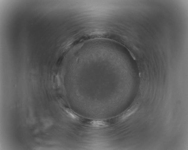 X0000067460528200604101136