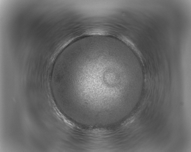 X0000067460529200604101135