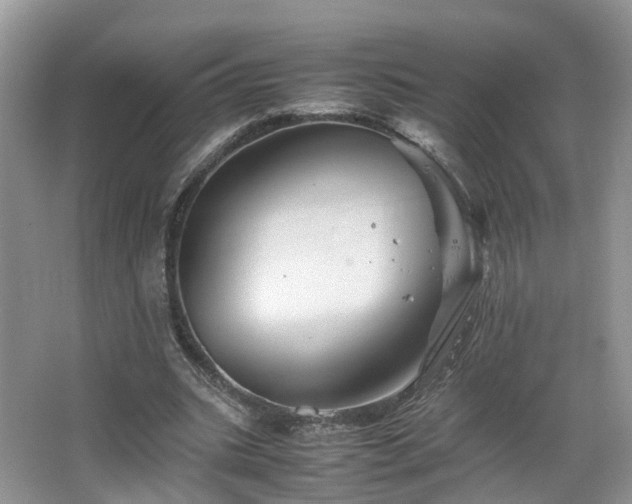 X0000067460535200604101135