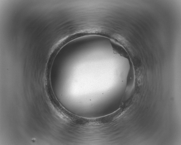 X0000067460536200604101135