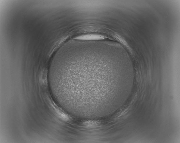 X0000067460537200604101135