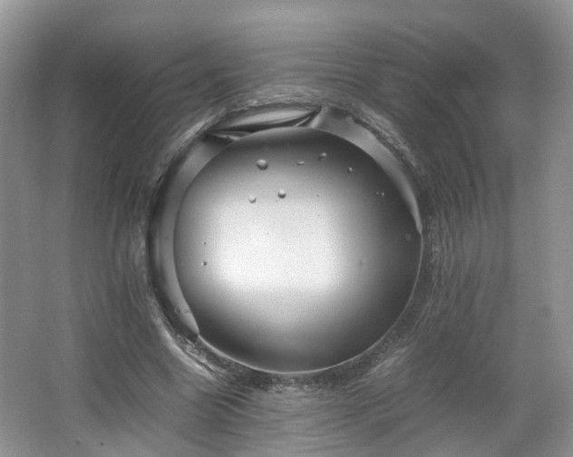 X0000067460538200604101135