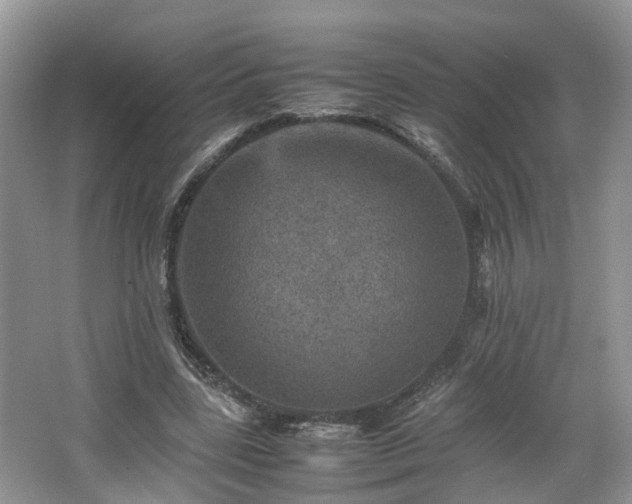 X0000067460539200604101135