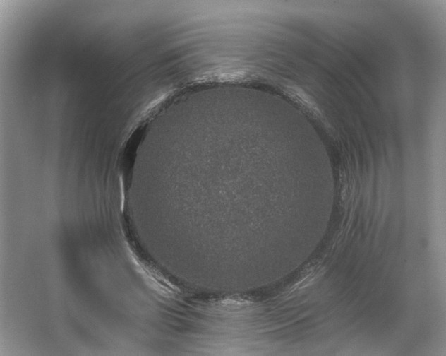 X0000067460542200604101135