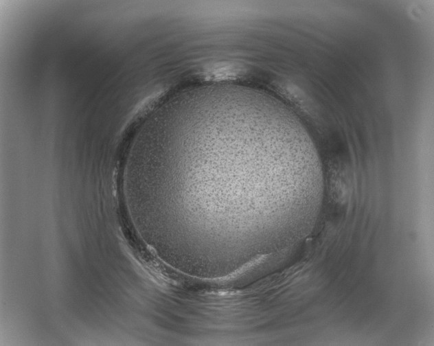 X0000067460543200604101135