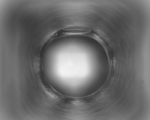 X0000067460544200604101135