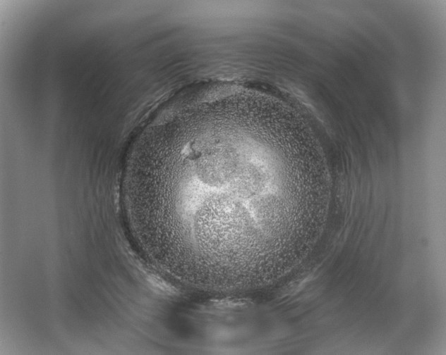 X0000067460545200604101135