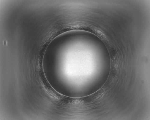 X0000067460546200604101135