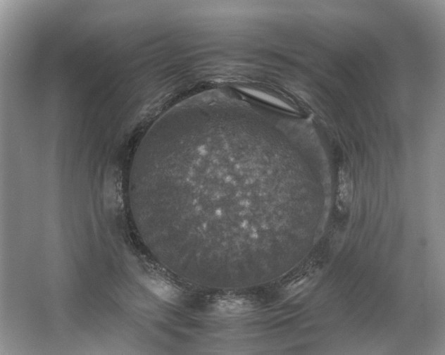 X0000067460547200604101135