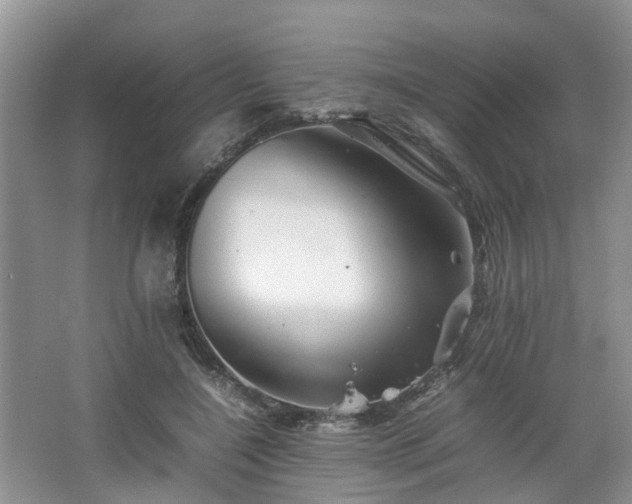 X0000067460548200604101135