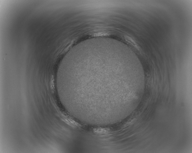 X0000067460549200604101136