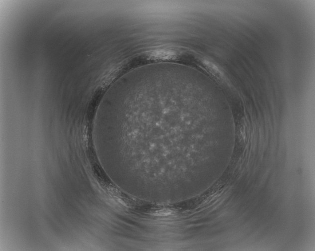 X0000067460551200604101136