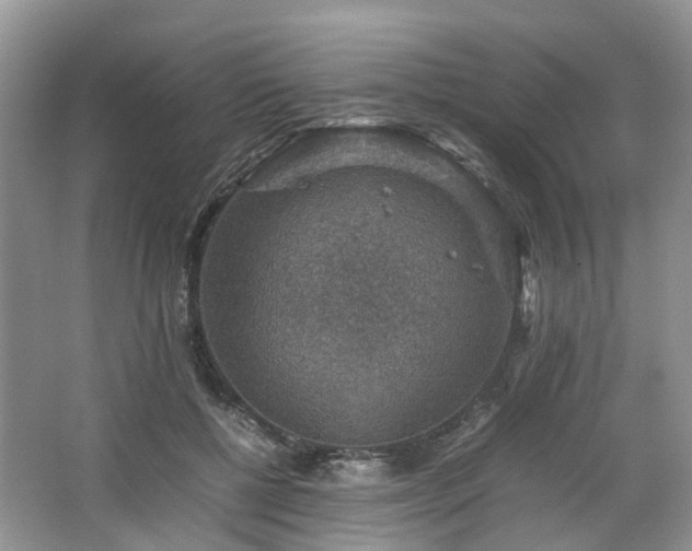 X0000067460552200604101136