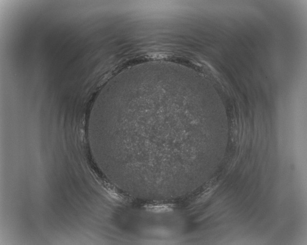 X0000067460553200604101136