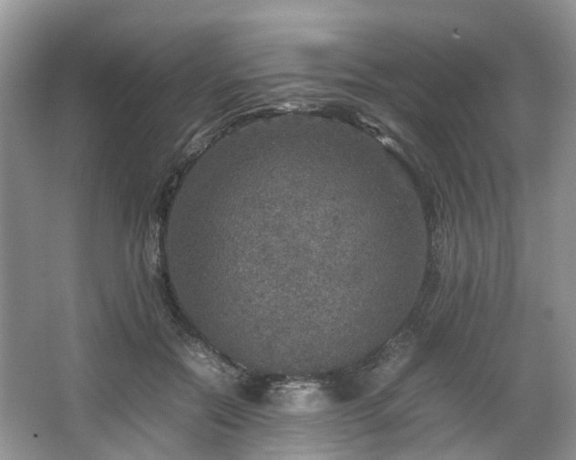 X0000067460554200604101136