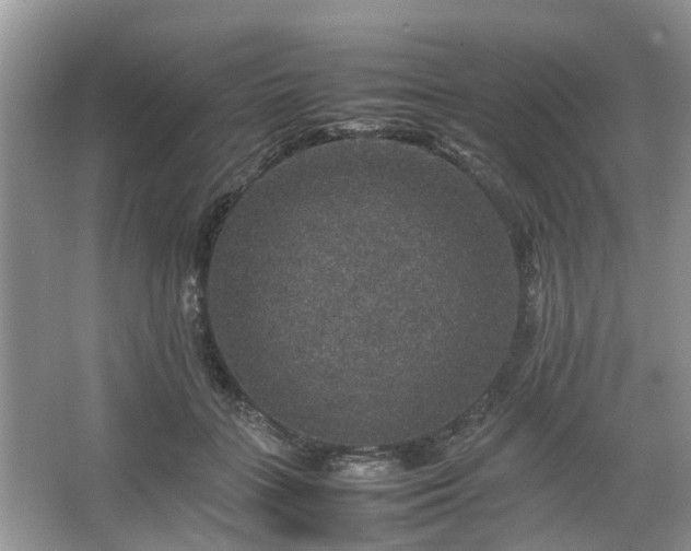 X0000067460555200604101136