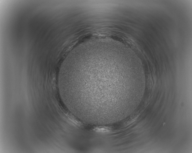 X0000067460557200604101136