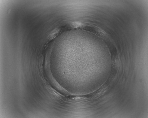 X0000067460558200604101136