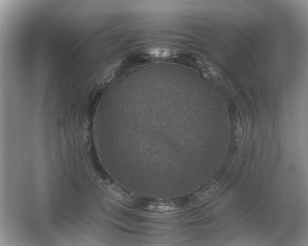 X0000067460559200604101136