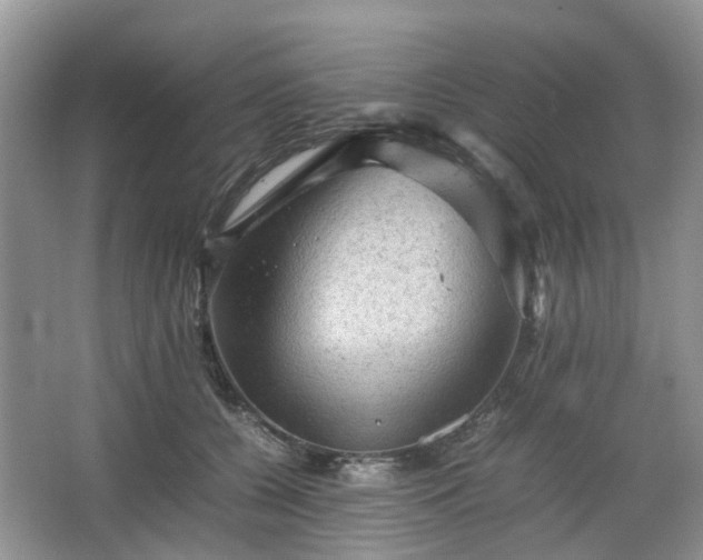 X0000067460560200604101136