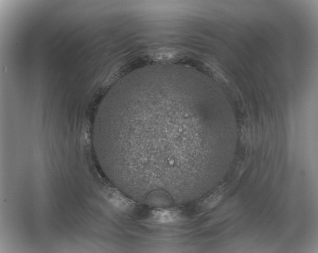 X0000067460561200604101136