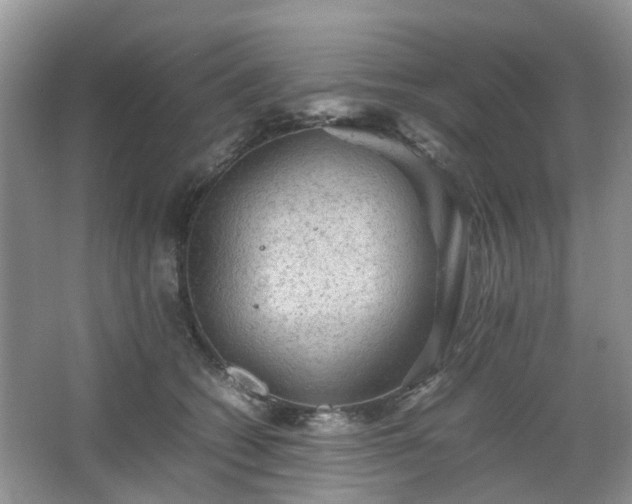 X0000067460562200604101136