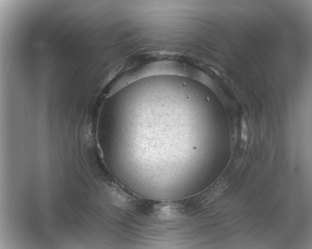 X0000067460564200604101136