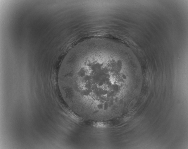 X0000067460565200604101136