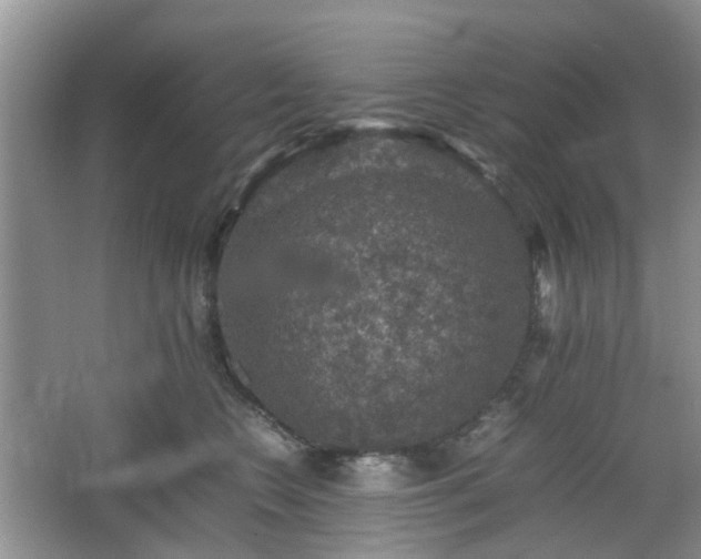 X0000067460566200604101136