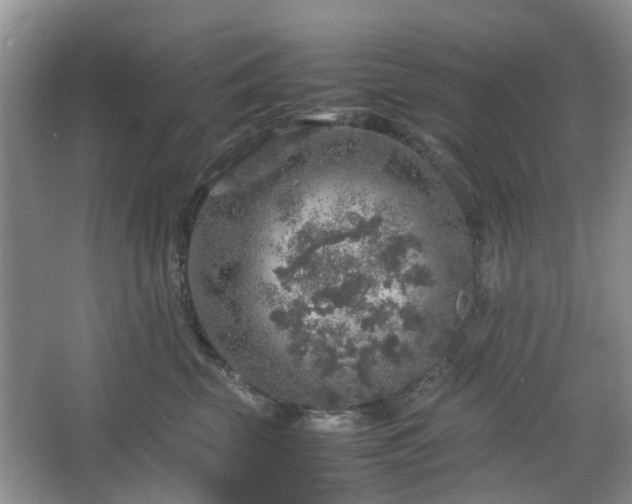 X0000067460569200604101136