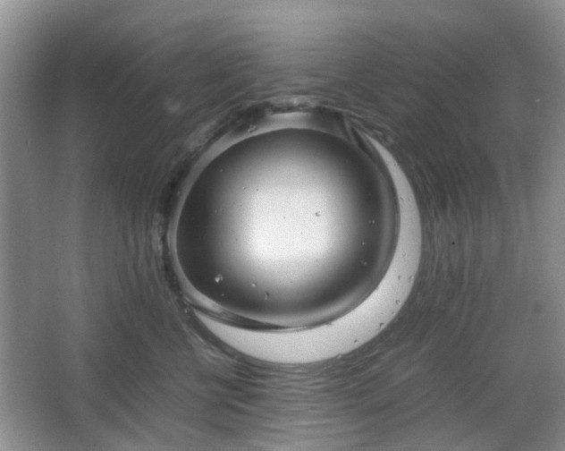 X0000067460570200604101136