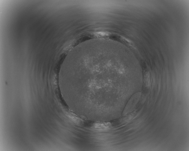 X0000067460571200604101136