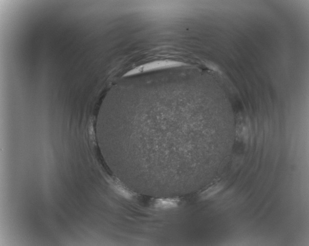 X0000067460573200604101136