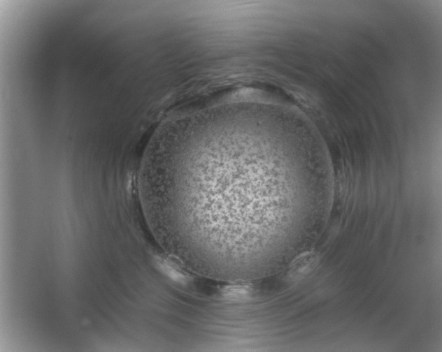 X0000067460574200604101136