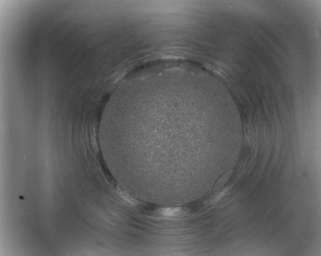 X0000067460575200604101136