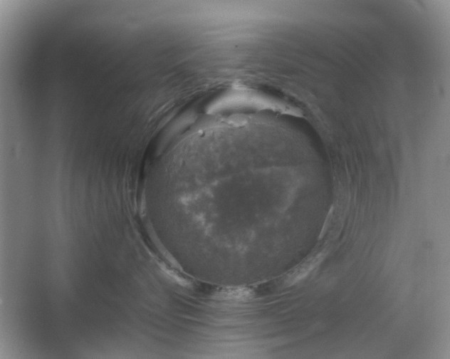 X0000067460576200604101136