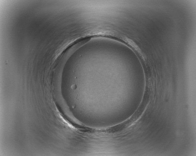 X0000067460577200604101135